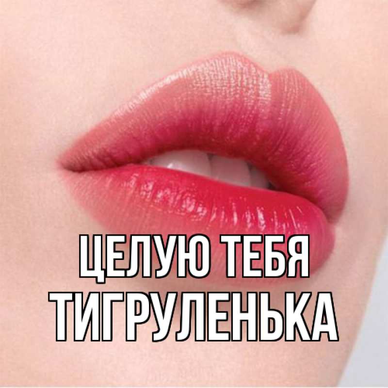 Картинка Целую тебя, Тигpуленька