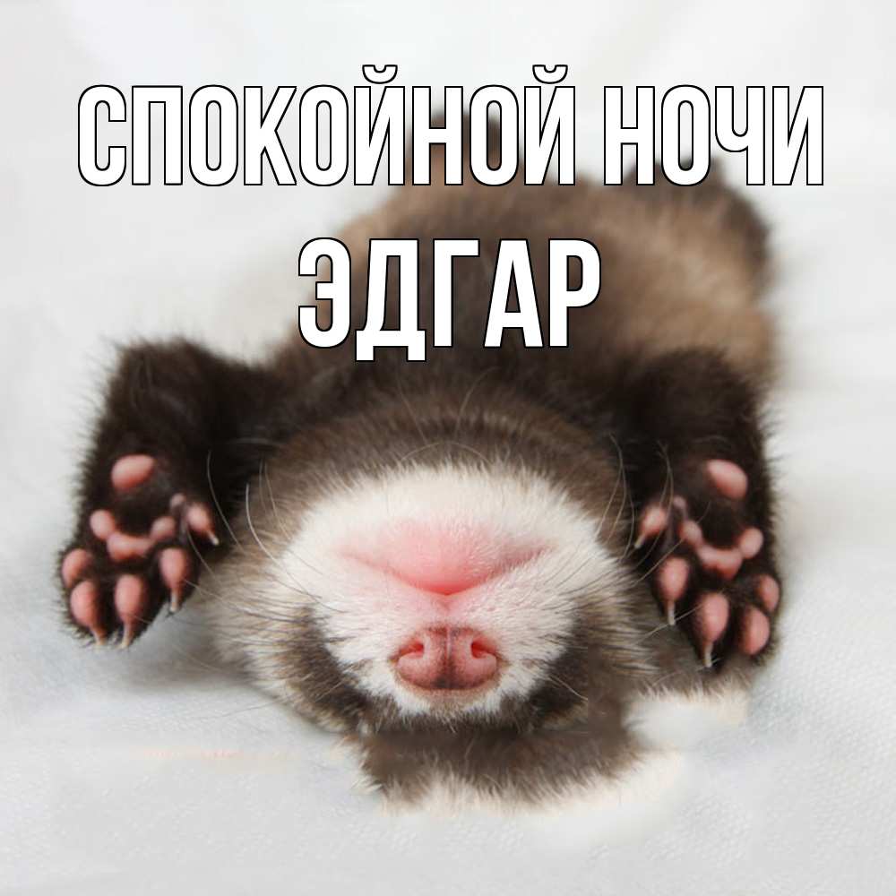 Открытка на каждый день с именем, Эдгар Спокойной ночи зверек Прикольная открытка с пожеланием онлайн скачать бесплатно 