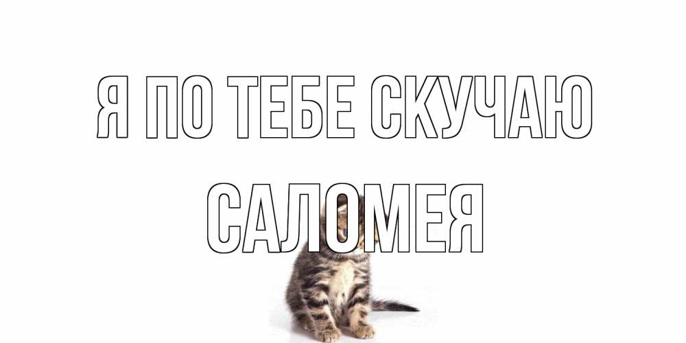 Открытка на каждый день с именем, Саломея Я по тебе скучаю кот Прикольная открытка с пожеланием онлайн скачать бесплатно 