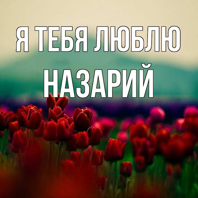 Картинка Я тебя люблю, Назарий