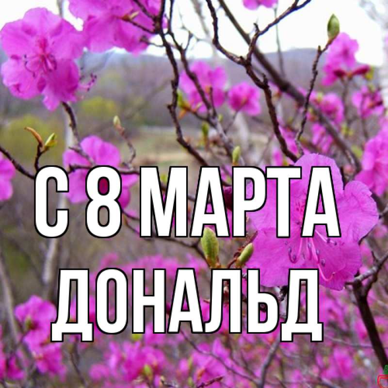 Картинка C 8 МАРТА, Дональд