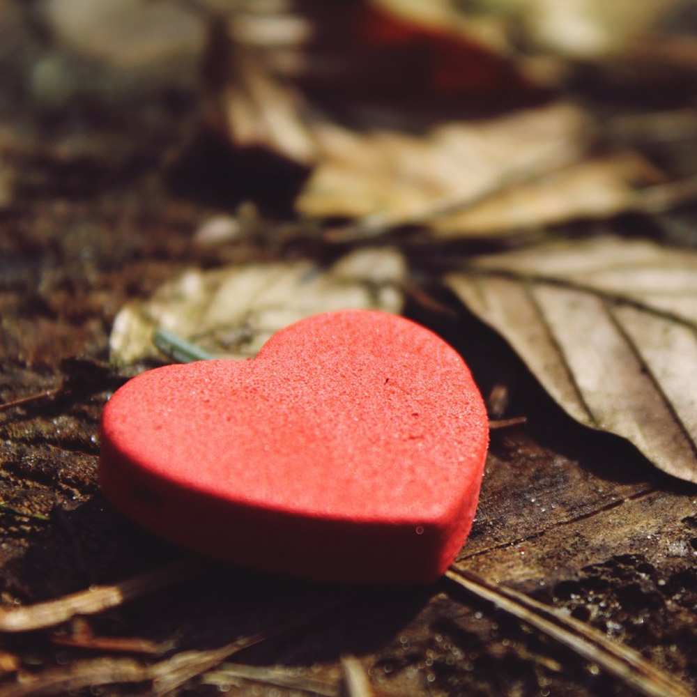 Открытка на каждый день с именем, Макар Я тебя люблю листья деревье 4 Прикольная открытка с пожеланием онлайн скачать бесплатно 