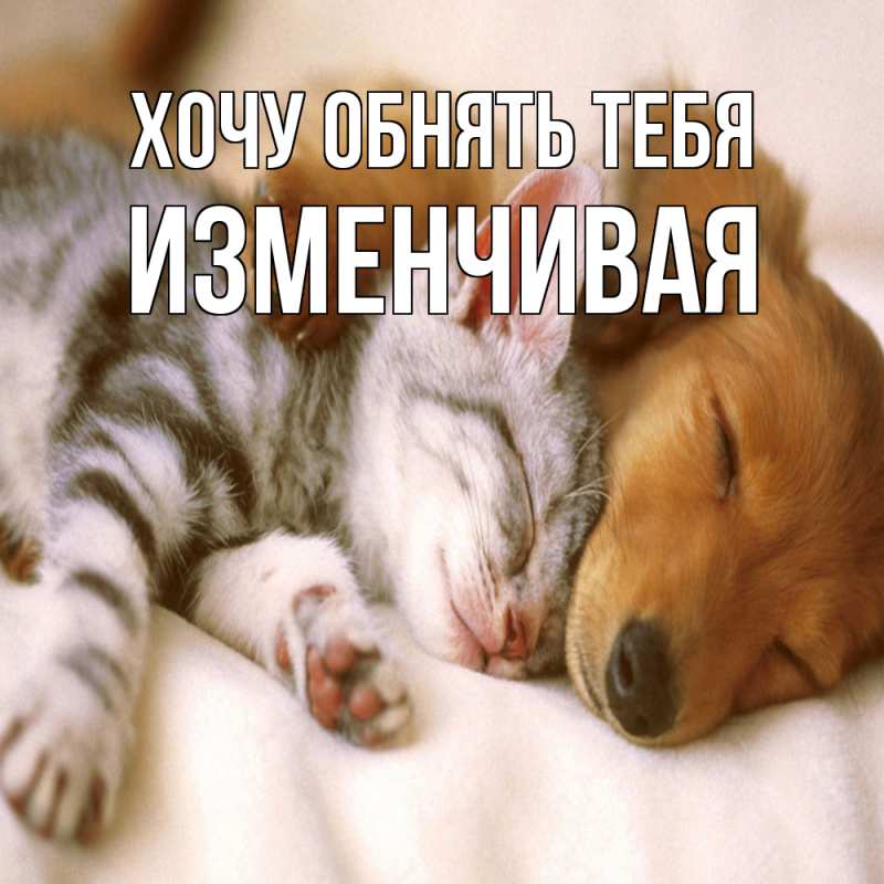 Картинка Хочу обнять тебя, изменчивая