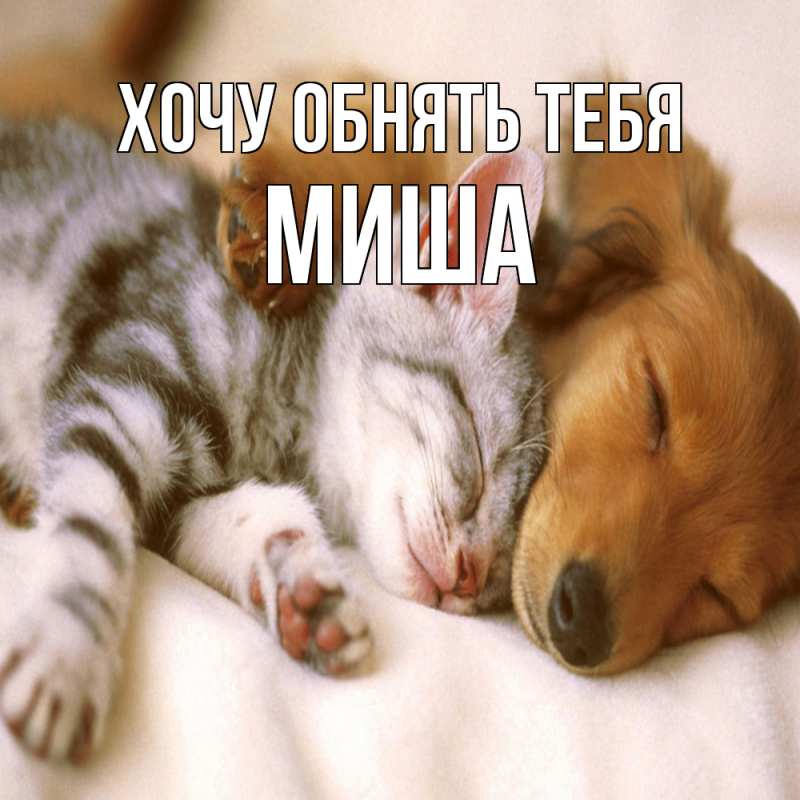 Картинка Хочу обнять тебя, Миша