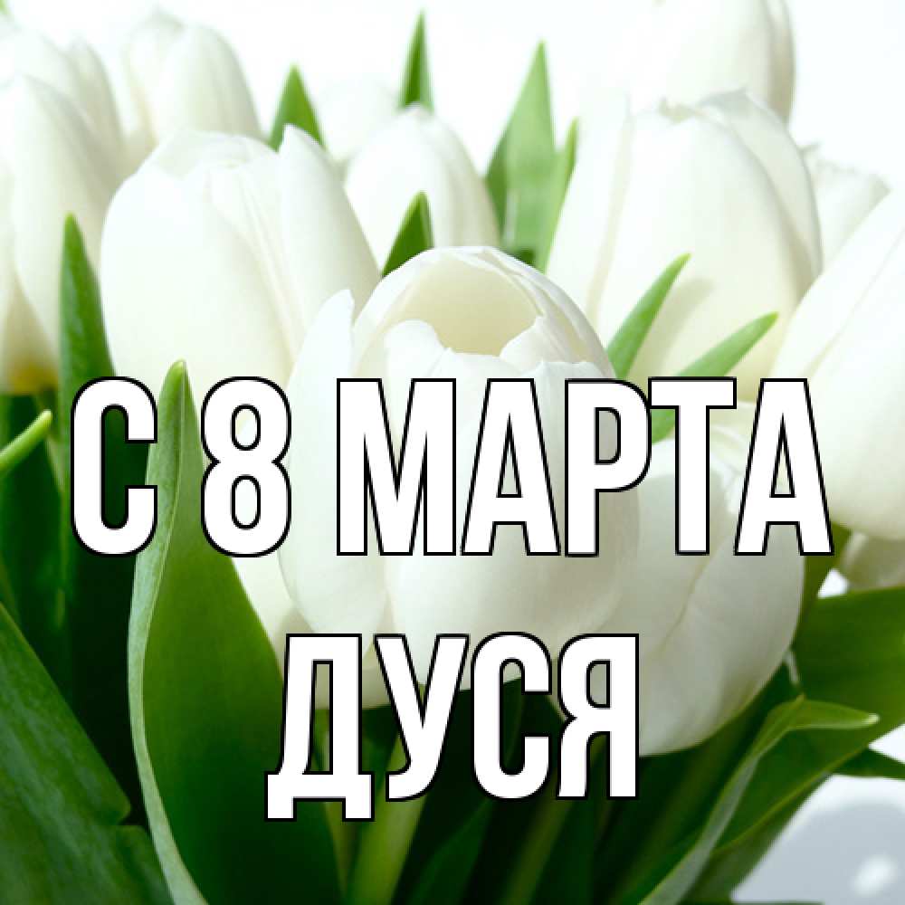 Открытка на каждый день с именем, Дуся C 8 МАРТА цветы Прикольная открытка с пожеланием онлайн скачать бесплатно 