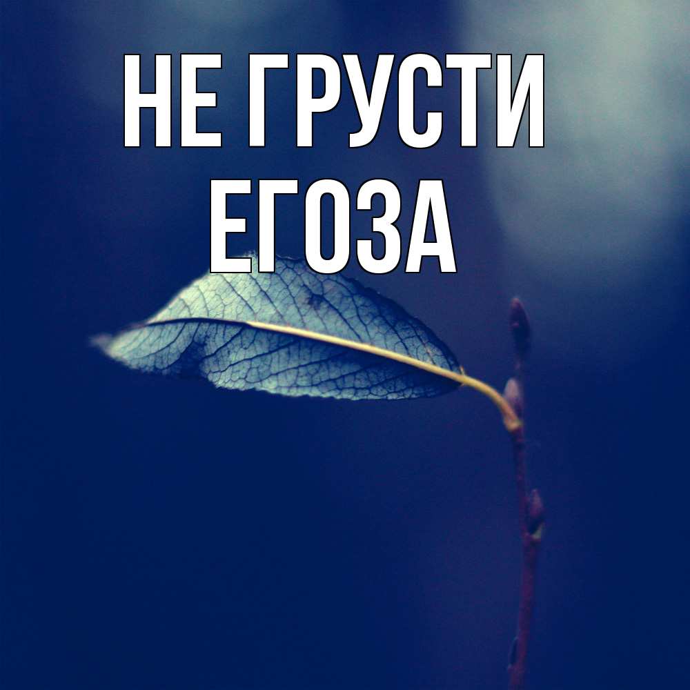 Открытка на каждый день с именем, егоза Не грусти растение Прикольная открытка с пожеланием онлайн скачать бесплатно 