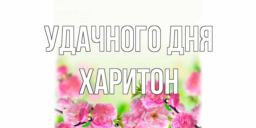 Открытка на каждый день с именем, Харитон Удачного дня цветы Прикольная открытка с пожеланием онлайн скачать бесплатно 