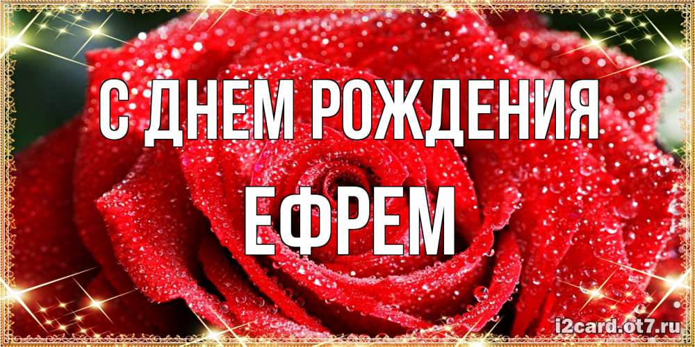Открытка на каждый день с именем, Ефрем С днем рождения роса и роза. открытка с красивой розой Прикольная открытка с пожеланием онлайн скачать бесплатно 