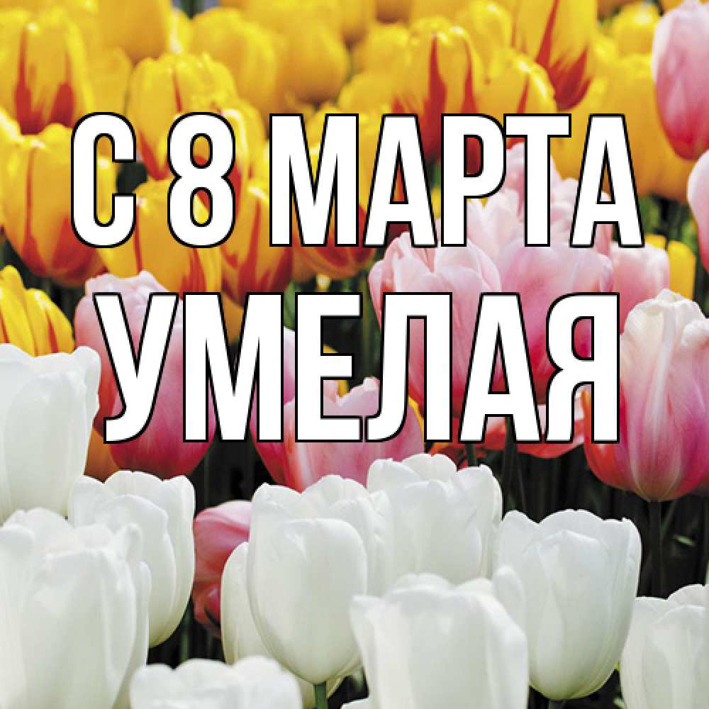 Открытка на каждый день с именем, Умелая C 8 МАРТА разноцветные цветы Прикольная открытка с пожеланием онлайн скачать бесплатно 