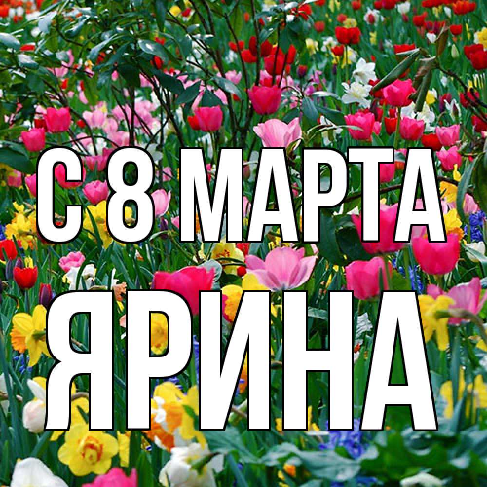 Открытка на каждый день с именем, Ярина C 8 МАРТА с международным женским днем поздравления для женщины Прикольная открытка с пожеланием онлайн скачать бесплатно 