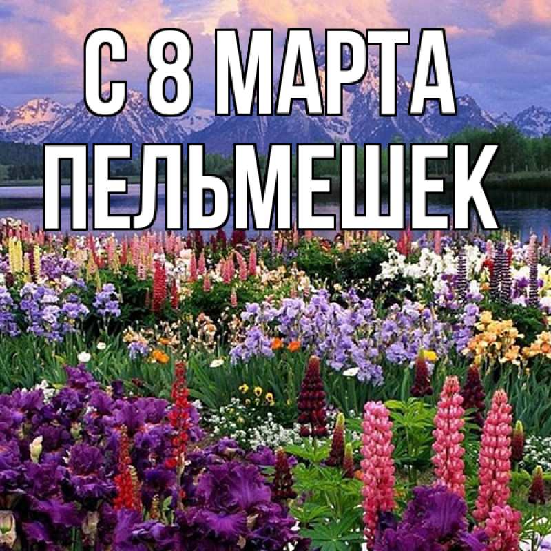 Картинка C 8 МАРТА, пельмешек