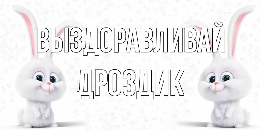 Открытка на каждый день с именем, Дроздик Выздоравливай не болей с зайцем Прикольная открытка с пожеланием онлайн скачать бесплатно 