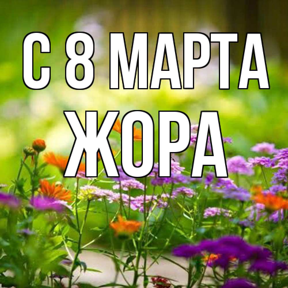 Открытка на каждый день с именем, Жора C 8 МАРТА цветы Прикольная открытка с пожеланием онлайн скачать бесплатно 