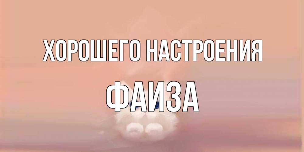 Открытка на каждый день с именем, Фаиза Хорошего настроения кошка Прикольная открытка с пожеланием онлайн скачать бесплатно 