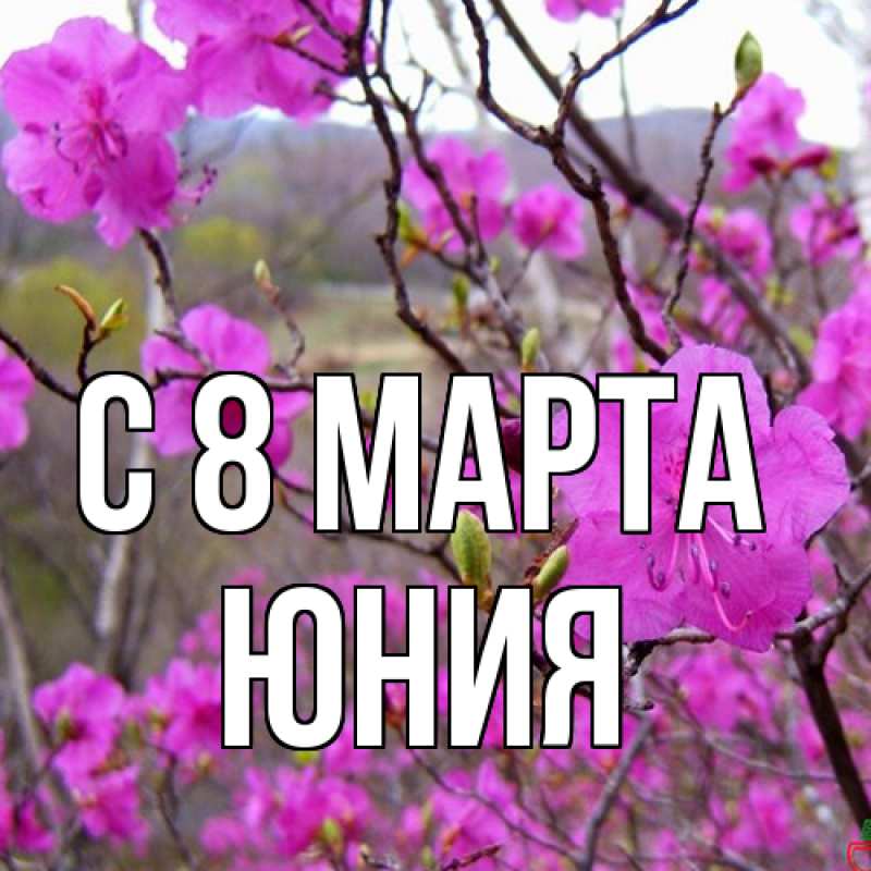 Картинка C 8 МАРТА, Юния