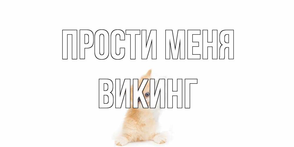 Открытка на каждый день с именем, Викинг Прости меня кот Прикольная открытка с пожеланием онлайн скачать бесплатно 