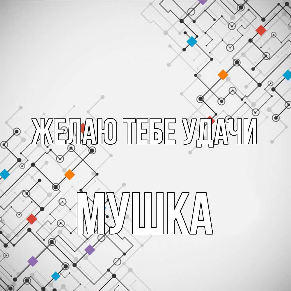 Открытка на каждый день с именем, мушка Желаю тебе удачи на удач Прикольная открытка с пожеланием онлайн скачать бесплатно 