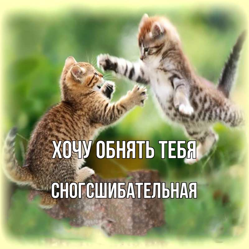 Картинка Хочу обнять тебя, сногсшибательная