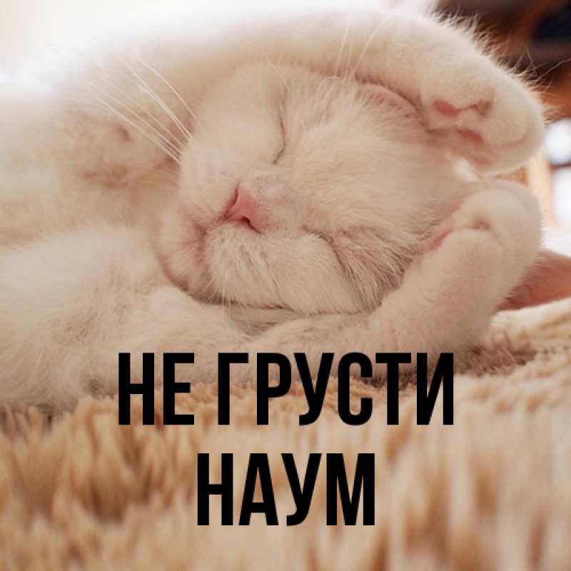 Картинка Не грусти, Наум