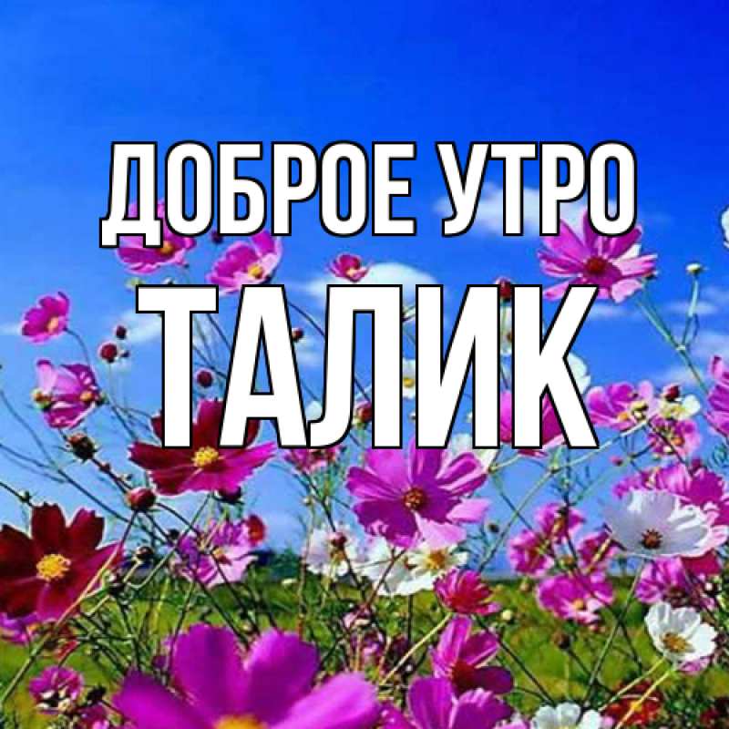 Открытка с именем, Талик, Доброе утро