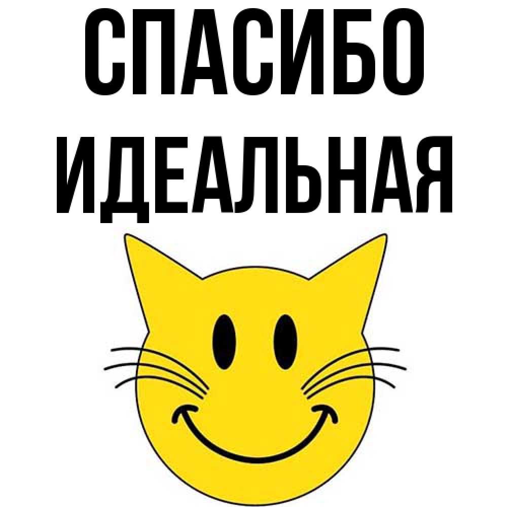 Открытка на каждый день с именем, идеальная Спасибо улыбающийся смайл кот Прикольная открытка с пожеланием онлайн скачать бесплатно 