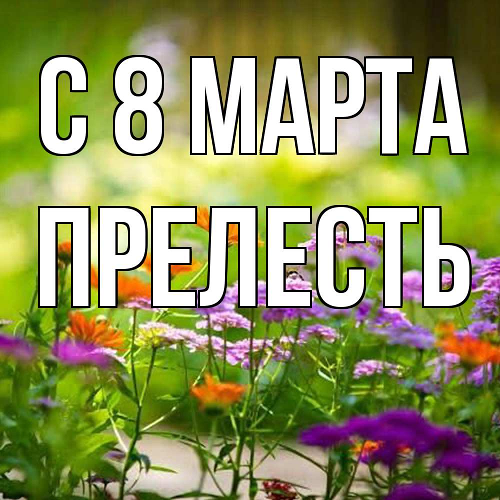 Открытка на каждый день с именем, прелесть C 8 МАРТА цветы Прикольная открытка с пожеланием онлайн скачать бесплатно 