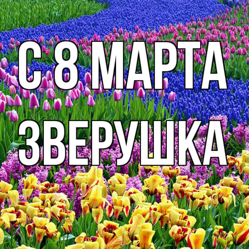 Картинка C 8 МАРТА, Зверушка