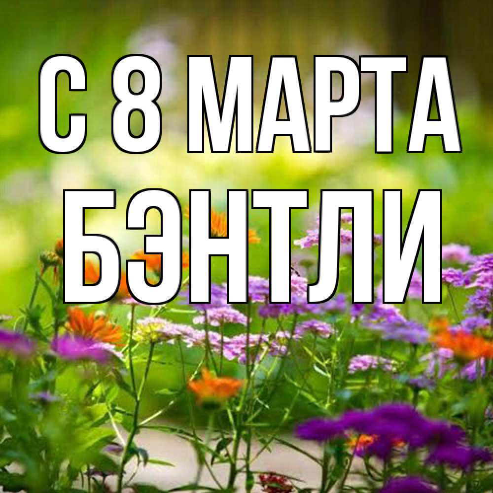 Открытка на каждый день с именем, Бэнтли C 8 МАРТА цветы Прикольная открытка с пожеланием онлайн скачать бесплатно 