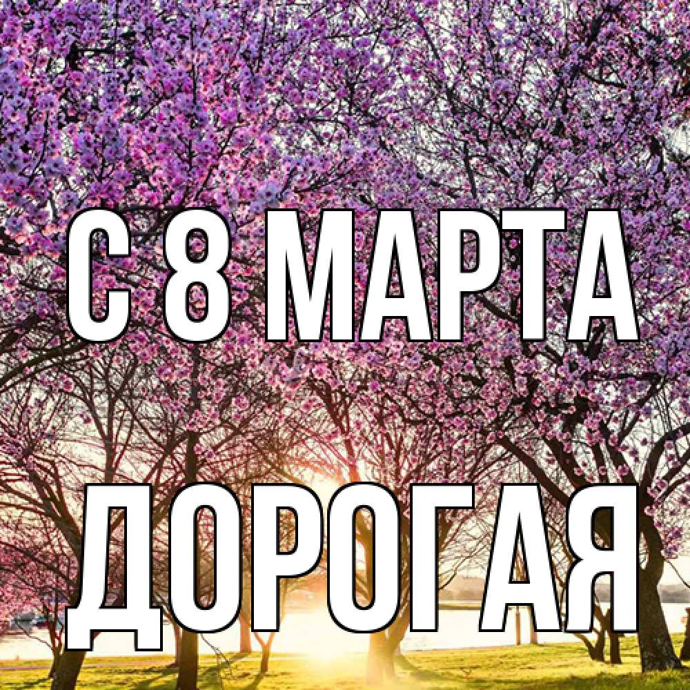 Открытка на каждый день с именем, Дорогая C 8 МАРТА международный женский день Прикольная открытка с пожеланием онлайн скачать бесплатно 