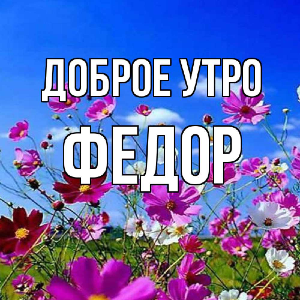 Открытка на каждый день с именем, Федор Доброе утро сиреневые цветы Прикольная открытка с пожеланием онлайн скачать бесплатно 