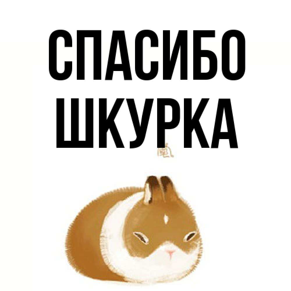 Открытка на каждый день с именем, Шкурка Спасибо коричнево белый домашний питомец Прикольная открытка с пожеланием онлайн скачать бесплатно 