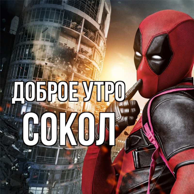 Картинка Доброе утро, Сокол