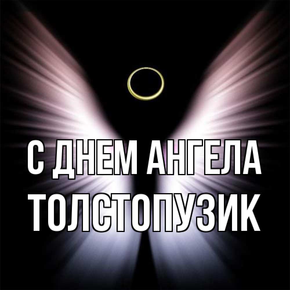 Открытка на каждый день с именем, Толстопузик С днем ангела ангел из света Прикольная открытка с пожеланием онлайн скачать бесплатно 