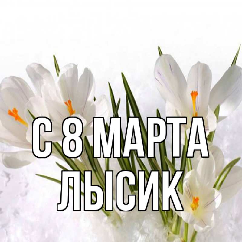 Картинка C 8 МАРТА, Лысик