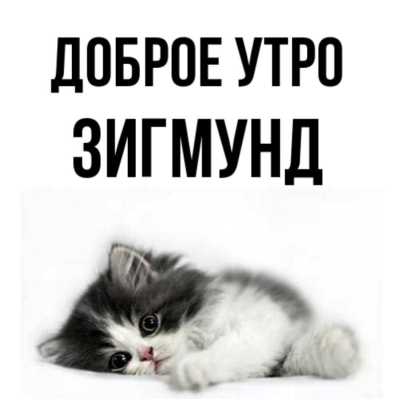 Картинка Доброе утро, Зигмунд