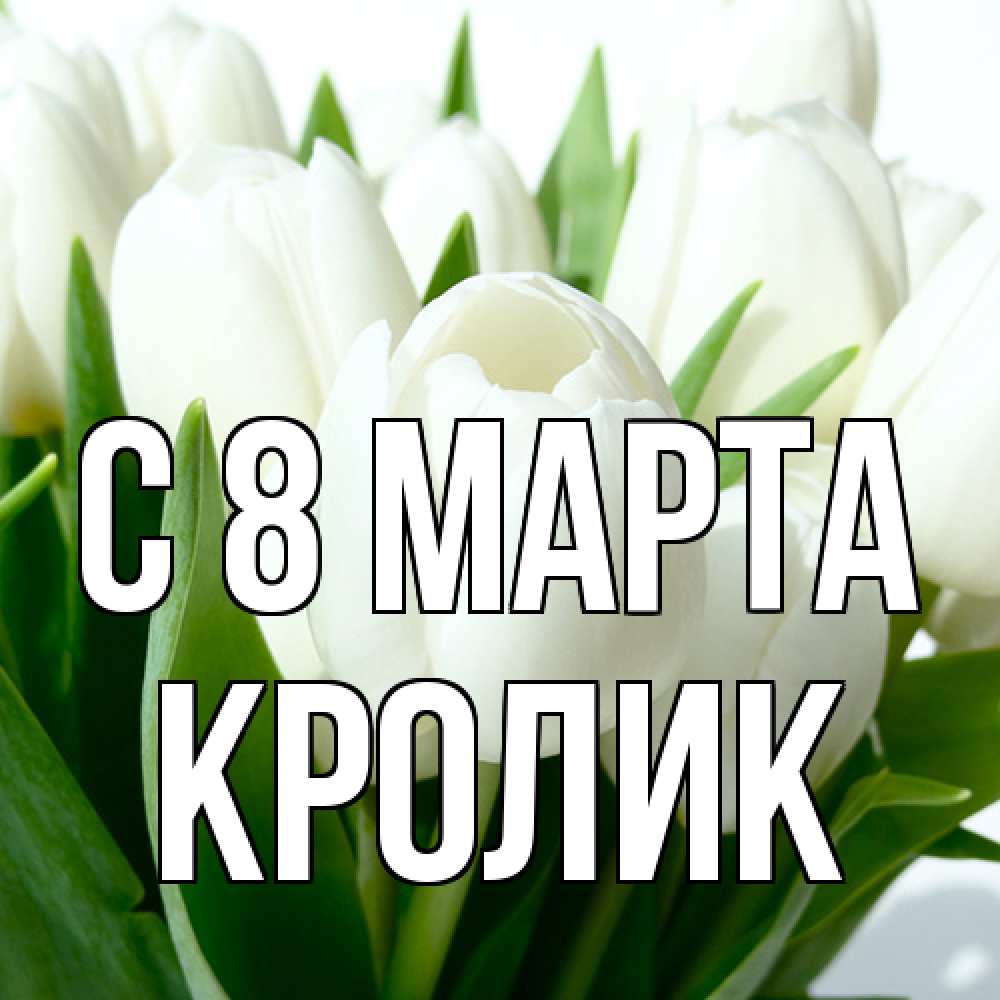 Открытка на каждый день с именем, кролик C 8 МАРТА цветы Прикольная открытка с пожеланием онлайн скачать бесплатно 