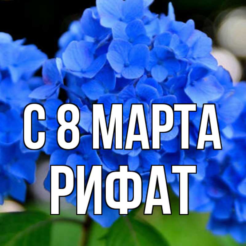 Картинка C 8 МАРТА, Рифат