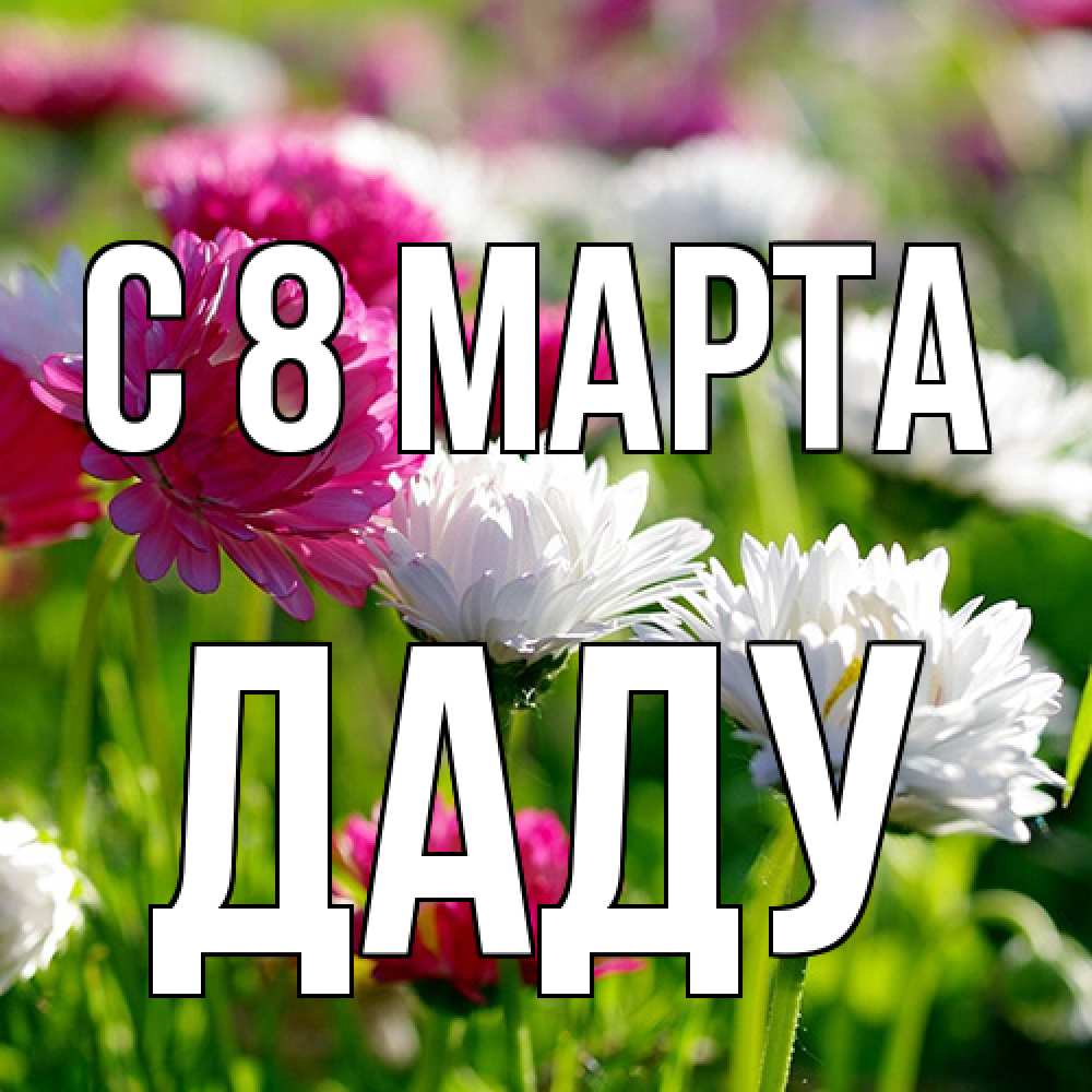 Открытка на каждый день с именем, Даду C 8 МАРТА международный женский день 1 Прикольная открытка с пожеланием онлайн скачать бесплатно 
