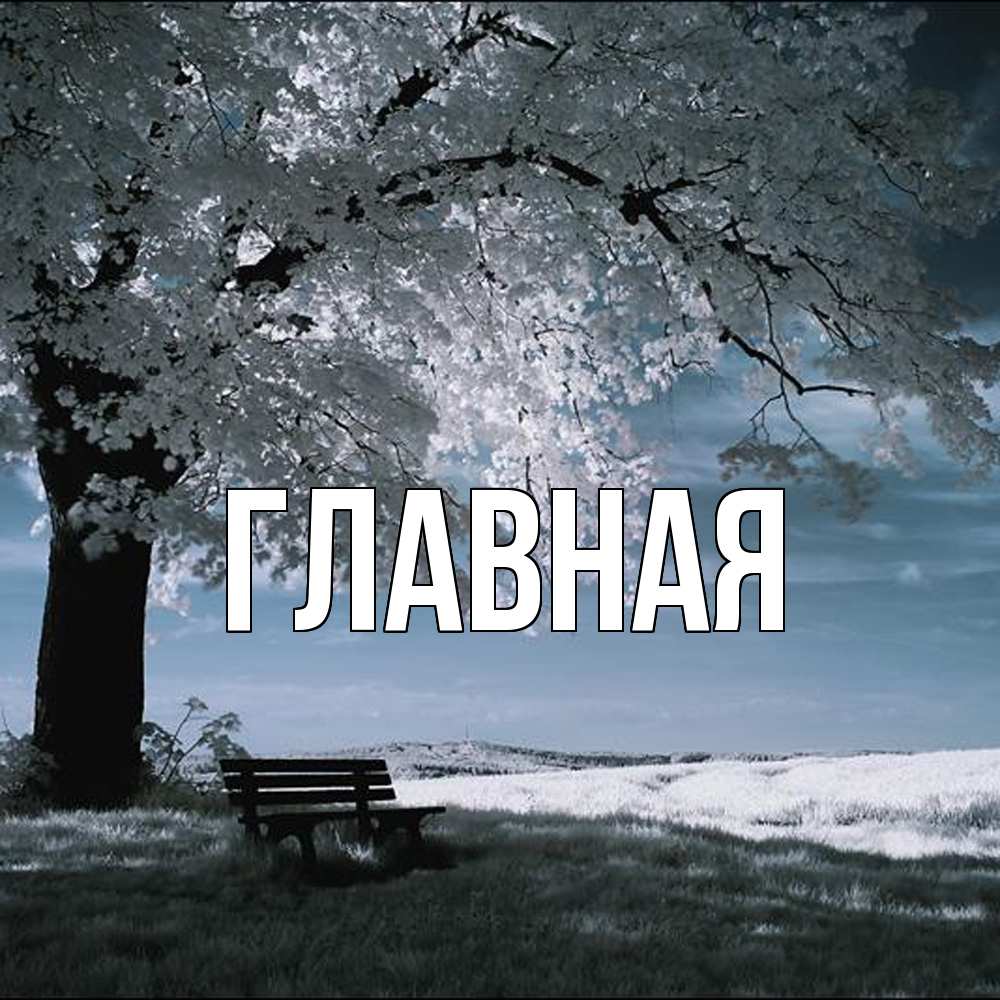 Открытка на каждый день с именем, настя Главная дерево Прикольная открытка с пожеланием онлайн скачать бесплатно 