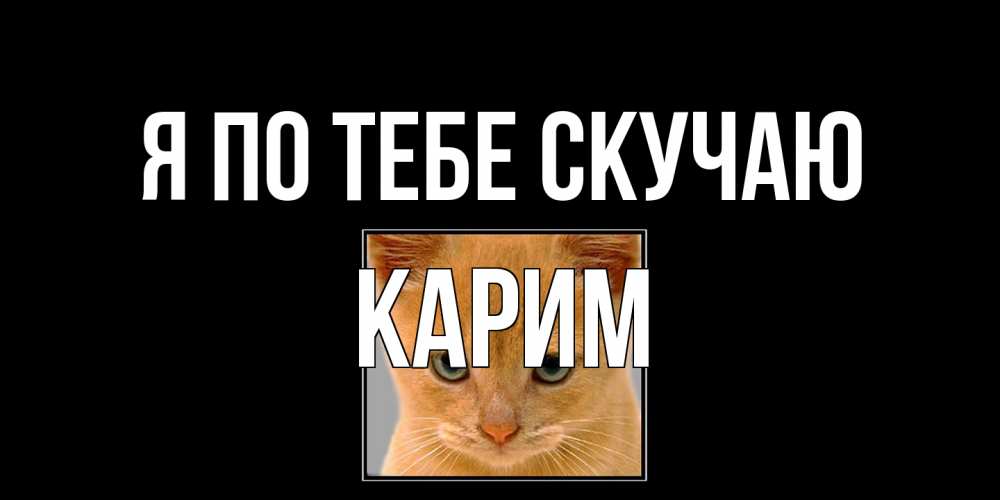Открытка на каждый день с именем, Карим Я по тебе скучаю открытки рыжий котенок скучает по тебе Прикольная открытка с пожеланием онлайн скачать бесплатно 