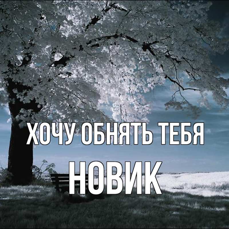 Картинка Хочу обнять тебя, новик