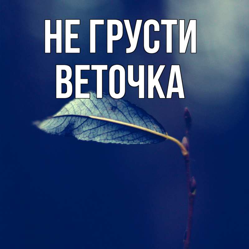 Картинка Не грусти, Веточка