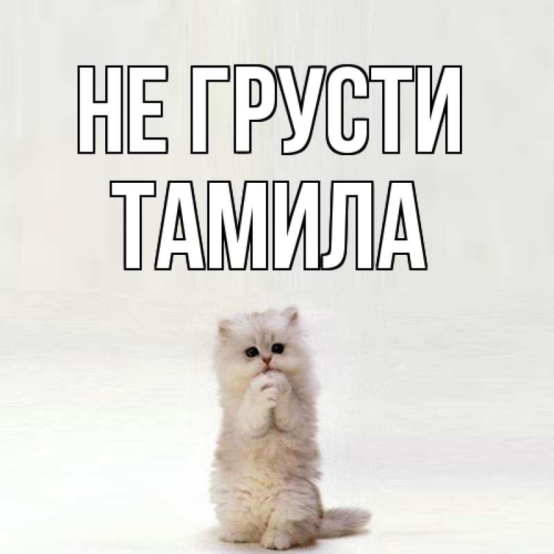Картинка Не грусти, ТАМИЛА