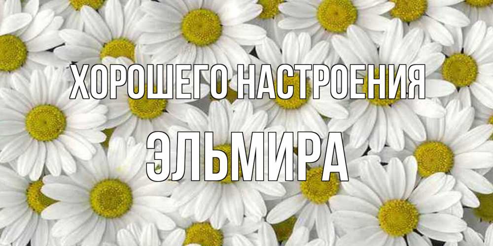 Открытка на каждый день с именем, Эльмира Хорошего настроения поляна ромашек Прикольная открытка с пожеланием онлайн скачать бесплатно 