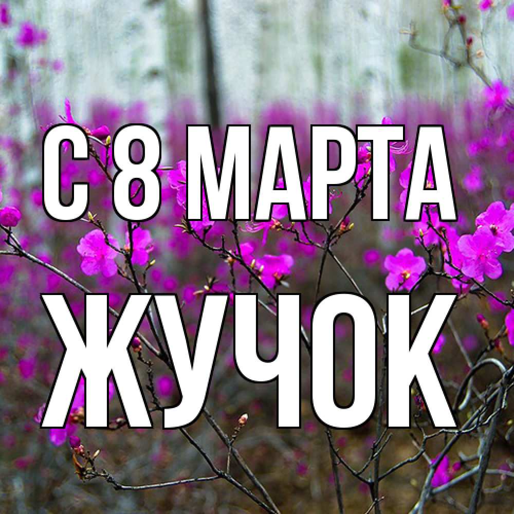 Открытка на каждый день с именем, жучок C 8 МАРТА дикие цветы Прикольная открытка с пожеланием онлайн скачать бесплатно 