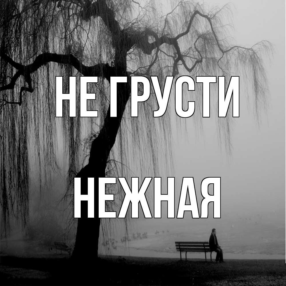 Открытка на каждый день с именем, Hежная Не грусти висящие ветки дерева и лавочка под деревом Прикольная открытка с пожеланием онлайн скачать бесплатно 