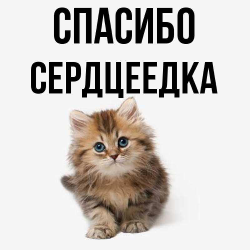 Картинка Спасибо, сердцеедка