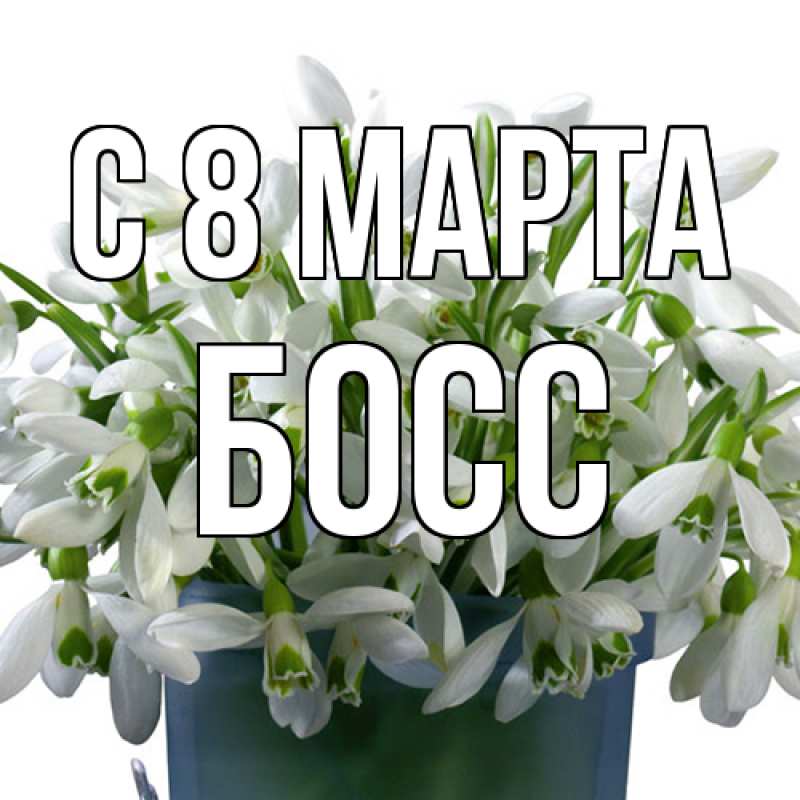 Картинка C 8 МАРТА, Босс