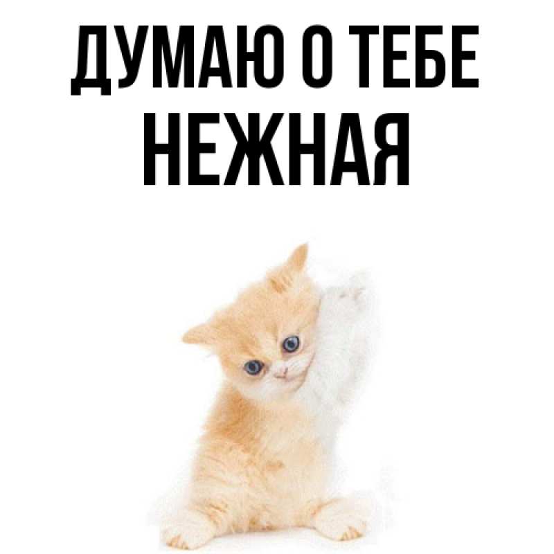 Картинка Думаю о тебе, Нежная