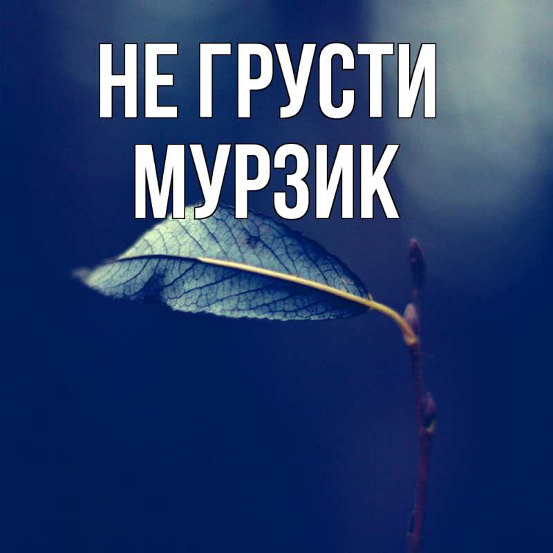 Картинка Не грусти, Мурзик